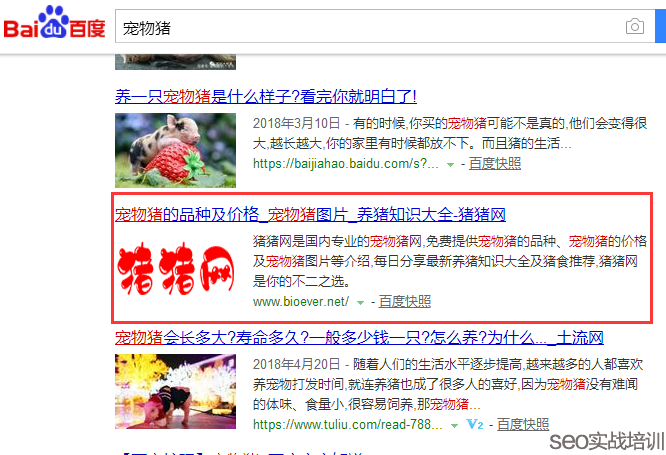 SEO培训案例：万变不离其宗的SEO排名 ，细节、思路 、方法 ！